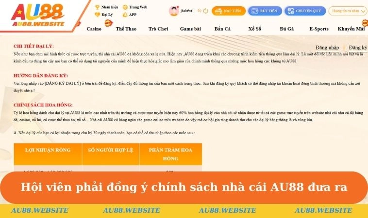 Hội viên phải đồng ý chính sách nhà cái AU88 đưa ra